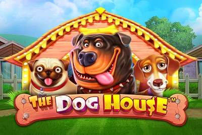 The Doge House नेटवर्क गेमिंग